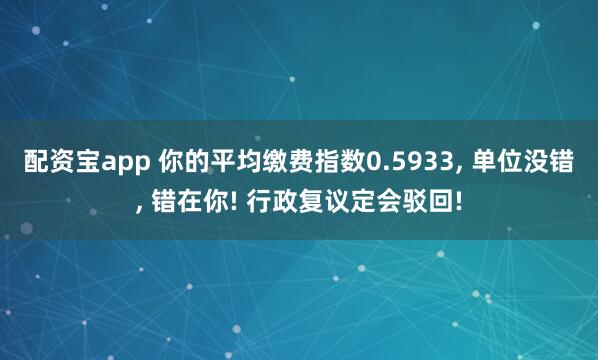 配资宝app 你的平均缴费指数0.5933, 单位没错, 错在你! 行政复议定会驳回!