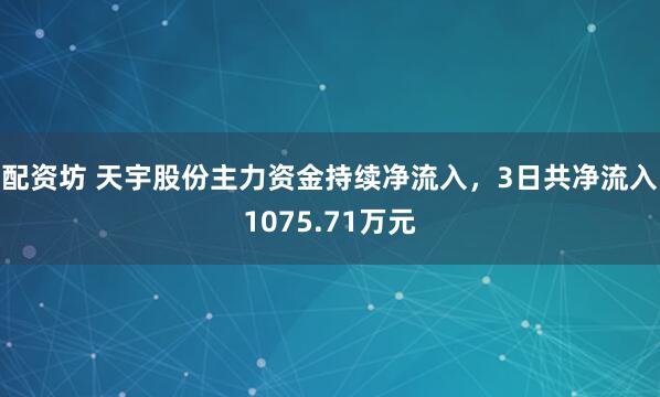 配资坊 天宇股份主力资金持续净流入，3日共净流入1075.71万元