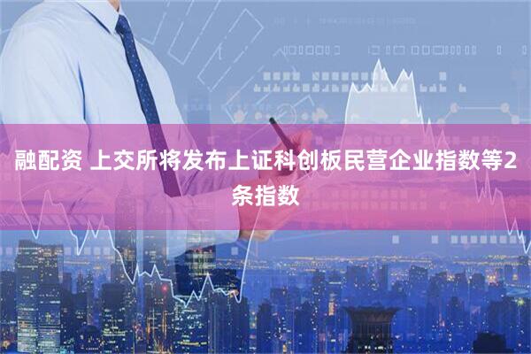 融配资 上交所将发布上证科创板民营企业指数等2条指数