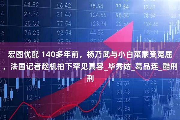 宏图优配 140多年前，杨乃武与小白菜蒙受冤屈，法国记者趁机拍下罕见真容_毕秀姑_葛品连_酷刑