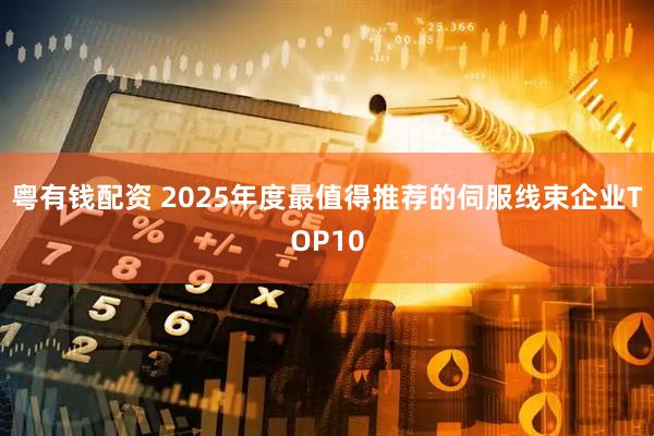 粤有钱配资 2025年度最值得推荐的伺服线束企业TOP10
