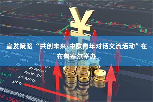 宣发策略 “共创未来·中欧青年对话交流活动”在布鲁塞尔举办
