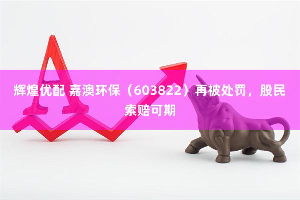 辉煌优配 嘉澳环保（603822）再被处罚，股民索赔可期